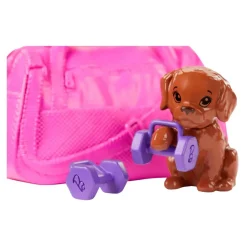 Bienestar Gimnasio^Barbie