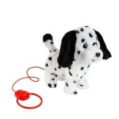 Cachorro Paseos^Planet Pets Discount