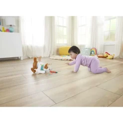 Perrito Gatea Y Juega Conmigo^Fisher Price