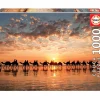 Puzzle Atardecer Dorado En Cable Beach Australia 1000 Piezas^Educa Borras Online