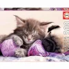 Puzzle Companeros De Suenos 500 Piezas^Educa Borras New