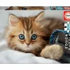 Puzzle Gatito 200 Piezas^Educa Borras Best