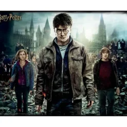 Puzzle Lenticular 3D , Hermione Y Ron 500 Piezas^Harry Potter New