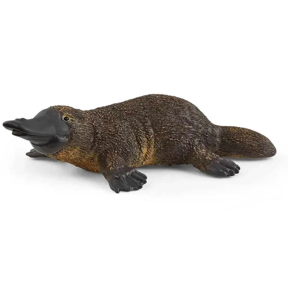 Figura Ornitorrinco^Schleich Sale